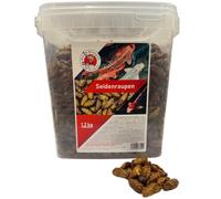 Vers à soie de qualité supérieure - 1,2 kg - 5 litres - Friandise saine pour tortues, poissons, oiseaux, reptiles - 5 litres