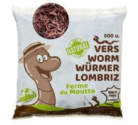 Vers de Compost - Vivants - 250 GR - Eisenia Foetida - Eisenia Andrei - Eisenia Hortensis