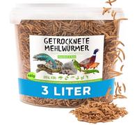 Vers de farine séchés dans un seau de 400g correspond à 2500ml - nourriture pour poisson, oiseaux, tortues, hérissons, rongeurs et reptiles