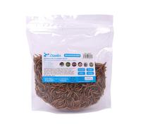 Vers de farine séchés naturels riches en protéines Snack déshydraté haute énergie Source de nutriments essentiels oméga pour volailles, poules, poulets, poissons reptiles rongeurs (200 g)