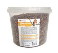 Vers de farine séchés PickNick seau de 540 g pour oiseaux - Flamingo