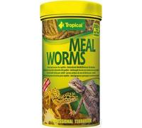Tropical Meal Worms 100ml x2