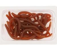 vers de Pêche au Bar, vers Stickbaits Souples 10 Cm Leurre de Pêche à Odeur de Poisson Réaliste Appâts de vers de Terre avec Boîte Drop Shot Worms pour Les Pêcheurs de Tous Niveaux