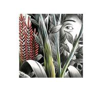 Vers les lueurs Vinyle