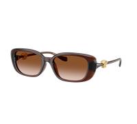 Versace Femme Sunglass VE4504D - Couleur du Monture: Transparent Marron, Couleur de Lentille: Dégradé marron