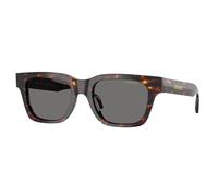 Versace Homme VE4486 550981 Lunettes de soleil Acétate Tortue Gris Carré Polarisé