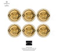Versace Rosenthal Prestige Gala Lot 6 Assiettes Beurre Porcelaine ø10,4 cm