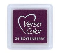 Versasmall Tsukineko Tampon encreur VersaColor Pigment, Petit Cube-Boysenberry