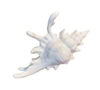 Versatile Conch Hair Jaw Clip - Pretty Clips for Hair | Non-Slip Headpiece for Bathing Swimming, Daily Summer Vacation, Tropical Wedding Seaside Fashion, Shell Pin for Ladies