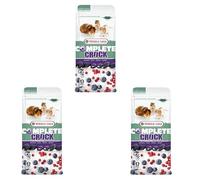 Versele-Laga Complete Crock Berry | Pack de 3 | 3 x 50 g | Friandise pour Lapins et rongeurs | Enveloppe croustillante et fourrage Tendre aux Baies | Facile à digérer et sans Sucre ajouté