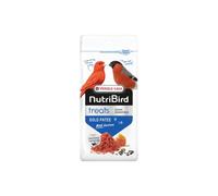Versele-Laga NutriBird Treats Gold Patée Red Fusion – Complément pour perruches rouges, miel 250 g