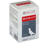 Versele-Laga Recup-Lyt Sachet(S) 12x20 g