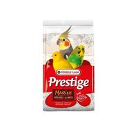 VERSELE-LAGA Shell Sable Marine 5 kg - sable pour oiseaux