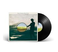Versteeg, Menno – Why We Run – Vinyle LP (Neuf)