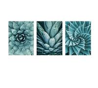 Vert Aloe Plantes Succulentes Moderne Minimaliste Photos Toile Peinture Salon Décor Nordique Affiche 40x60cm/15.7"x23.6"x3NoFrame
