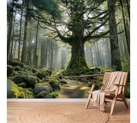 Vert Brun Papier Peint, Arbre Lumière Du Soleil Rocher Intissé Mur Déco | Photographie Paysage Amovible Non adhésif Papier Peint pour Salon Chambre, 350 x 257 cm Photo Panoramique Murale Décoration
