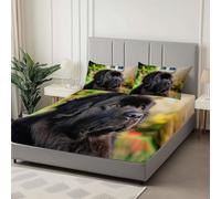 Vert Drap Housse 180 x 200 cm Microfibre Brossée, Animal Chien Mignon avec Rebord Élastique Protège Matelas Amovible, Literie de Chambre, adapté aux Matelas 180x200 cm