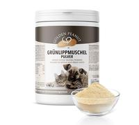 Vert évasé Mussel Extrait de poudre pour chiens et chats Original de qualité à partir de Nouvelle-Zélande 500 g
