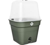 Vert fleur carrée de base - plastique - réservoir - Ø20 - vert feuille