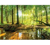 Vert Forêt Paysage Papier Peint Chambre Mural et Gratuit Adhésif Photomurale