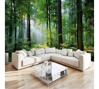 Vert Olive Papier peint photo en non-tissé - 300 x 210 cm 3D Poster Geant Mural Motif Mystérieux Nature Plantes Forêt, Décoration murale pour salon chambre à coucher restaurant