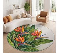 Vert Tapis Rond 200 cm Nature Scandinave Antidérapant Lavable en Machine | Pantes Feuille Floral Oiseau Du Paradis Poil Ras Moelleux Fin et Résistant Tapis Descente de Lit Salon Chambre Cuisine Devant