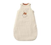 VERTBAUDET Gigoteuse évolutive sans manches Disney® Winnie l’ourson vanille 6/18M