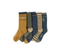 VERTBAUDET Lot de 5 paires de chaussettes dino garçon beige 23/26