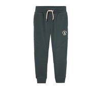 VERTBAUDET Pantalon Jogging Garçon en Molleton Rayures Lichen 12A