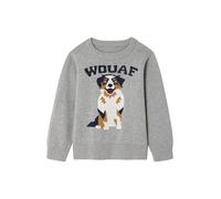 VERTBAUDET Pull Col Rond Chien Garçon Manches Longues Coton Gris chiné 6A