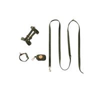 VERTBAUDET Set Promenade Chien Coton Léopard Kaki XS/S