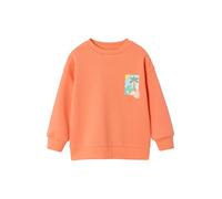 VERTBAUDET Sweat Col Rond Manches Longues Garçon Coton