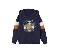 VERTBAUDET Sweat garçon à Capuche Motif placé Marine 14A