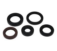Vertex Gasket Kit de joints d'huile moteur 822394 compatible avec/remplacement pour Polaris Phoenix 200 2005-2021 200, kit de joints d'huile RZR 170 2009-2020 170, Sawtooth 200 2006-2007 200 Kit de