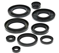 Vertex-Winderosa 822148 Kit de joint d'huile moteur