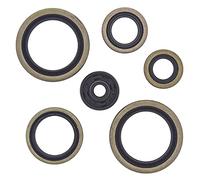 Vertex-Winderosa 822187 Kit de joint d'huile moteur
