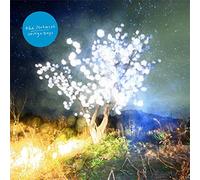 Vertigo Days [AH-147CD]