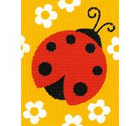 VERVACO Activité Éducative Point De Croix Kit Complet Motif Broderie COCCINELLE Canevas Kit Complet Debutant Decoration Manuelle DIY Set Artiste ca. 12,5 x 16 cm Beginner Crafts Cross Stitch