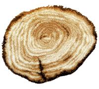 Vervaco Kit Tapis Point Noué Á Faire TRONC D'ARBRE Broderie Debutant DIY Latch Hook Kit Complet Decoration Maison Manuelle Loisir Créatif ca. 68 x 55 cm Embroidery