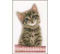 VERVACO Point De Croix Compté Kit Tableau Complet Set CHAT De Broderie Loisir Créatif Maison Decoration Cadeau DIY ca. 18 x 28 cm Counted Cross Stitch Embroidery