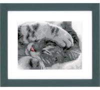 VERVACO Point De Croix Compté Kit Tableau Complet Set CHATON MIGNON De Broderie Loisir Créatif Maison Decoration Cadeau DIY ca. 16 x 13 cm Counted Cross Stitch Embroidery