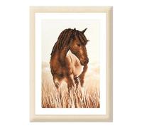 VERVACO Point De Croix Compté Kit Tableau Complet Set CHEVAL De Broderie Loisir Créatif Maison Decoration Cadeau DIY ca. 20 x 30 cm Counted Cross Stitch Embroidery