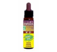 Vervain - Verveine N° 31