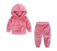 Verve Jelly Enfant En Bas âGe BéBé Filles GarçOns Automne Hiver VêTements Couleur Unie à Capuche à Manches Longues Sweat Haut Pantalon 2 PièCes Velours SurvêTement Tenue Ensemble Rose 110 2-3 Ans