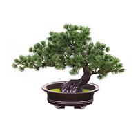 Verve Jelly Plantes artificielles en Pot, bonsaï Artificiel en Pot, Faux pin Japonais, bonsaï, Fausse Plante, bonsaï Artificiel pour Bureau, décoration d'intérieur, Affichage de Bureau