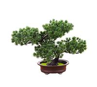 Verve Jelly Plantes Artificielles Petit Bonsaï Artificiel en Pot Faux Plantes de Pin en Pot Plastique Fausses Plantes d'intérieur Zen Bureau Verdure Décor pour Intérieur Maison Bureau Décor