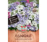 Verveine (verveine), mélange de parfums, ravira vraiment tout le monde et diffuse un merveilleux parfum estival, la verveine est un aimant pour les insectes utiles.