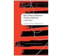 Very Close To Pleasure, There's A Sick Cat
