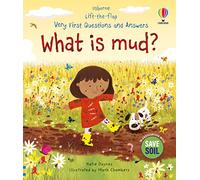 Very First Questions and Answers: What is mud?