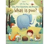 Very First Questions and Answers What is poo by Katie Daynes Katie Daynes, Marta Alvarez Miguens (Auteur)